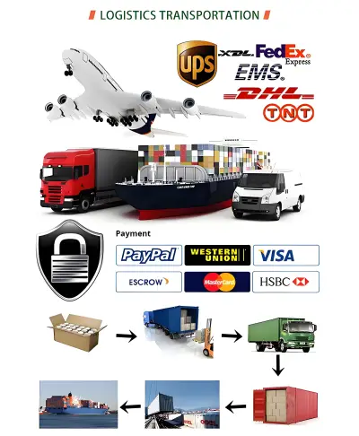 Logistics and Payment Methods